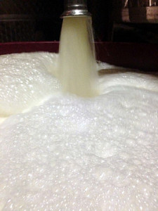 MOSTO