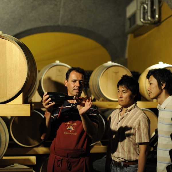 大阪の自然派イタリアワインインポーター メローネ 営業職 求人募集・採用情報