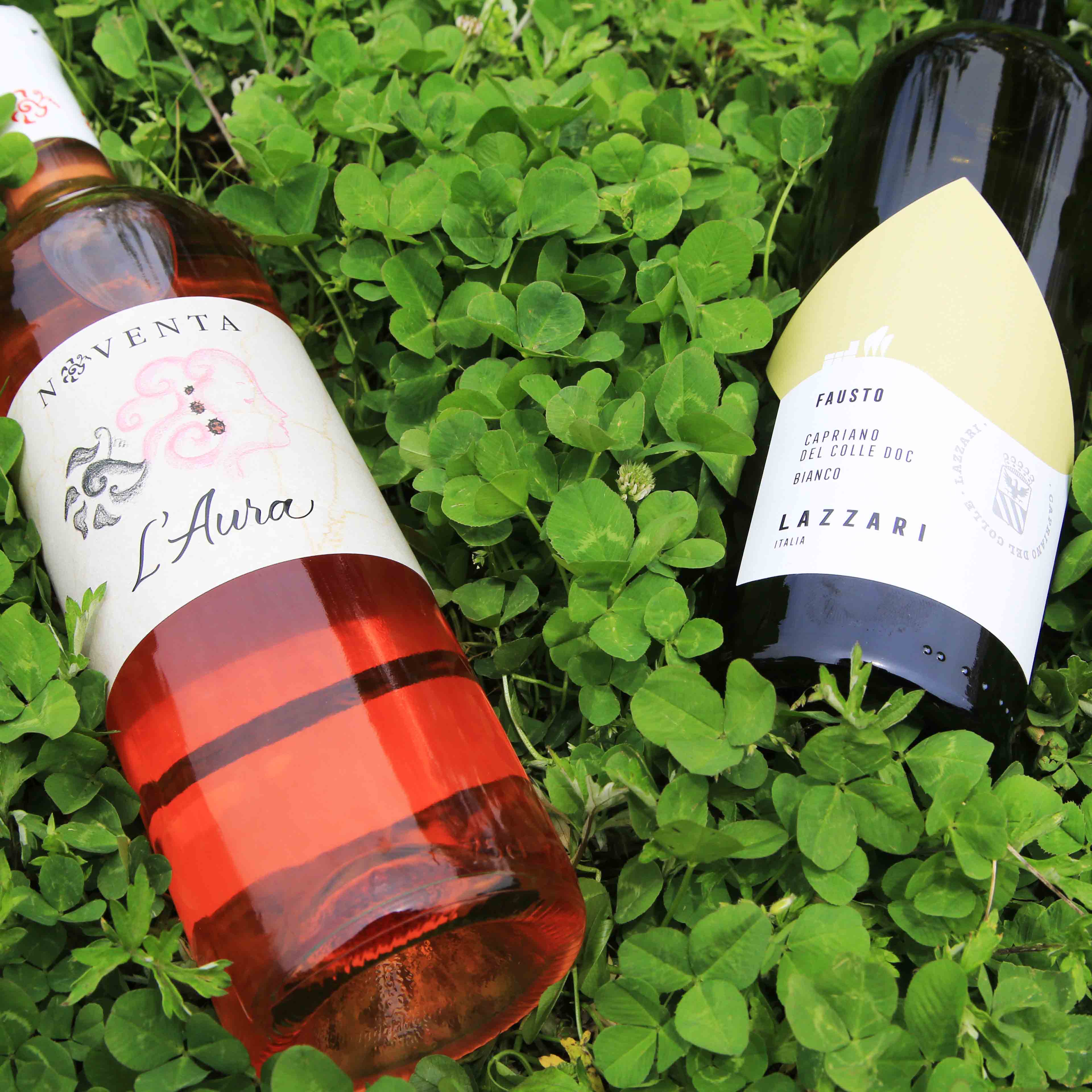 母の日に贈る、特別な白ワインとロゼワイン2本セット - メローネ